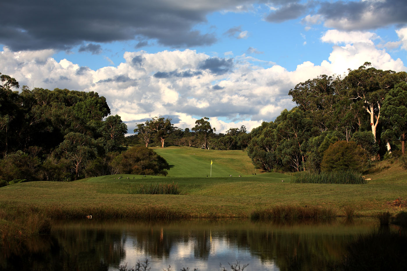 The 15th green at The Springs Central Coast golf course, viewed from behind the green across the pond